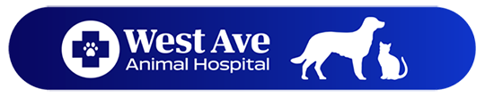 West Ave Animal Hospital